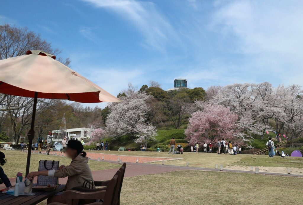 ピクニックやデートにも 広島市植物公園で植物に癒されよう あちこちフォト